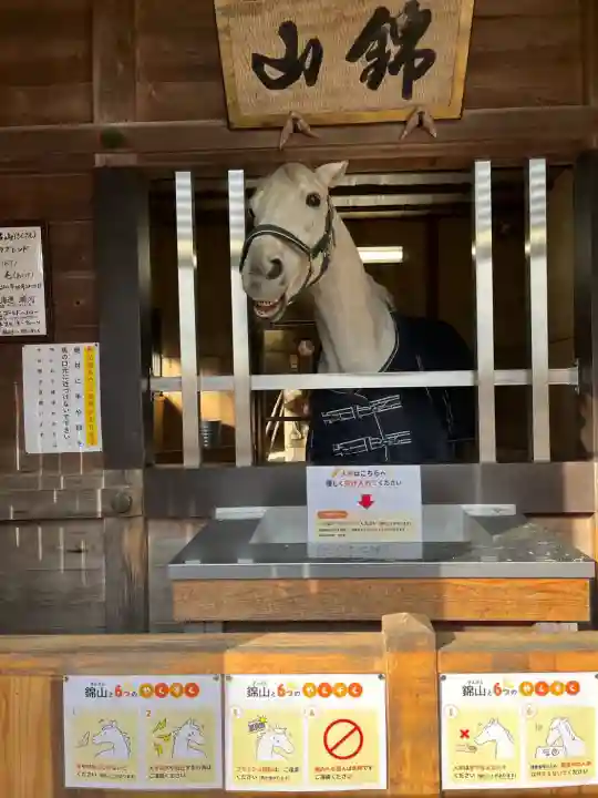 多度大社の{uncategorized: "未分類", other: "その他", undefined: "問題あり", building: "その他建物", grave: "お墓", sacred_gate: "鳥居", guardian: "狛犬", statue: "像", buddha: "仏像", history: "歴史", nature: "自然", garden: "庭園", animal: "動物", pagoda: "塔", temizu: "手水舎", mountain_gate: "山門・神門", sanctuary: "本殿・本堂", subordinate: "末社・摂社", art: "芸術", scenery: "景色", jizo: "地蔵", ema: "絵馬", goshuin: "御朱印", omikuji: "おみくじ", items: "授与品その他", amulet: "お守り", goshuincho: "御朱印帳", eats: "食事", festival: "お祭り", votive_dance: "神楽", shichigosan: "七五三参", wedding: "結婚式", experience: "体験その他", initially: "初詣", around: "周辺", anti_infection: "感染症対策"}