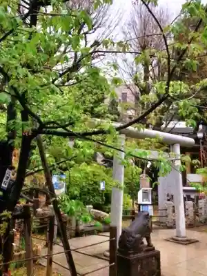 鳩森八幡神社(東京都)