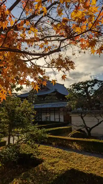 相国寺(相国承天禅寺)(京都府)