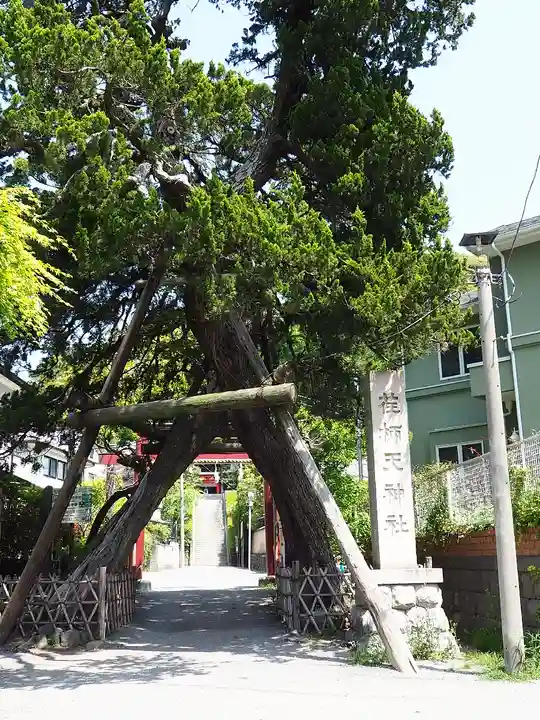荏柄天神社(神奈川県)