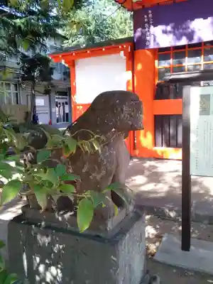 葛飾八幡宮の狛犬