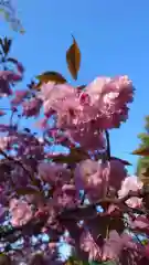 相馬神社の自然