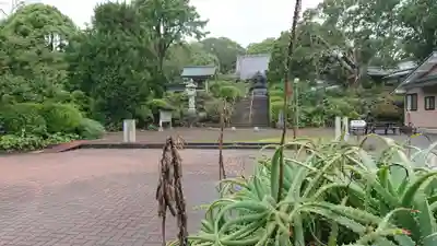 蓮着寺のその他建物