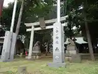 子ノ神社(早野)の鳥居