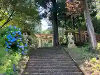 白山神社の鳥居