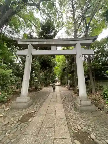 代々木八幡宮の鳥居