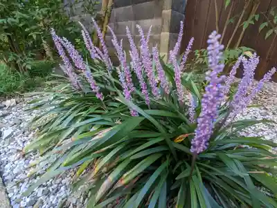 本光寺(京都府)