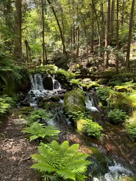 天徳寺(福井県)