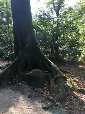 須佐神社(島根県)