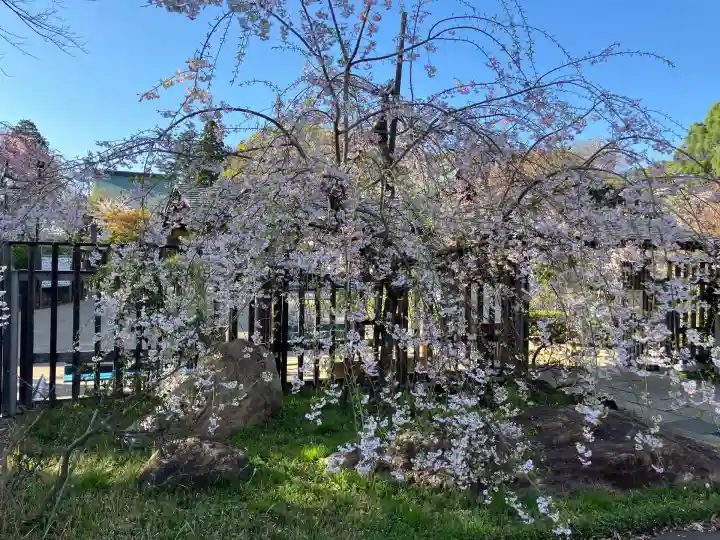 本土寺(千葉県)