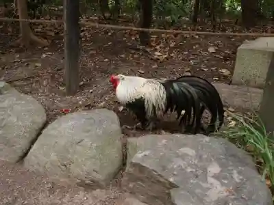 熱田神宮(愛知県)