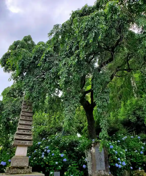 上合寺(福島県)