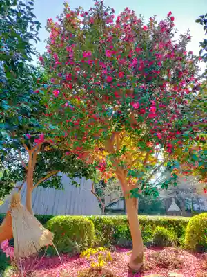 石光寺(奈良県)