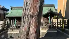 若宮神社(滋賀県)