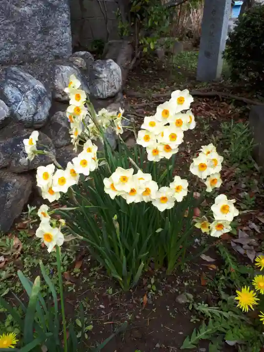 武蔵第六天神社の自然
