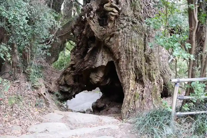 大山祇神社奥の院 生樹の御門(愛媛県)