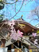 子安神社(東京都)