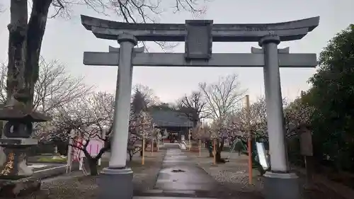 上里菅原神社(埼玉県)