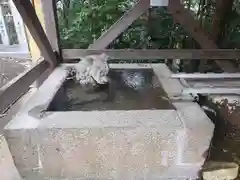 日吉神社の手水