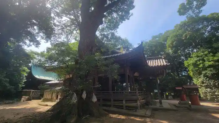 伊豫神社(愛媛県)