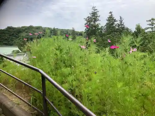 松嶺院(神奈川県)