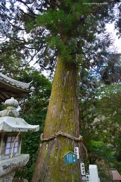 石山寺(滋賀県)