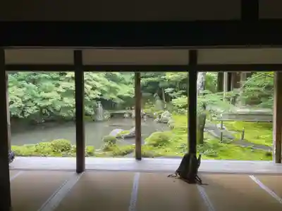 蓮華寺（洛北蓮華寺）(京都府)