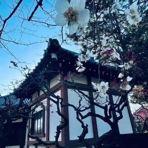 法華経寺奥之院のその他建物