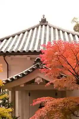 禅林寺(永観堂)(京都府)