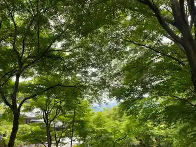 宝徳寺(群馬県)
