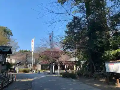 櫻木神社(千葉県)