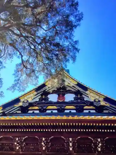 妙法寺(東京都)