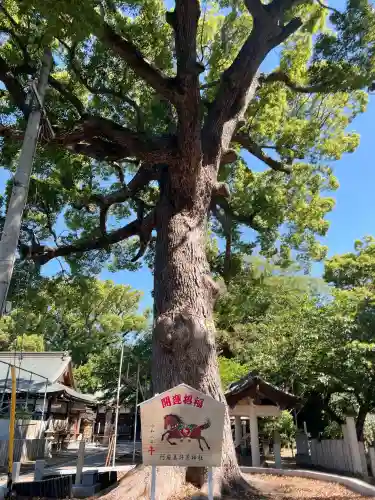 阿麻美許曽神社の{uncategorized: "未分類", other: "その他", undefined: "問題あり", building: "その他建物", grave: "お墓", sacred_gate: "鳥居", guardian: "狛犬", statue: "像", buddha: "仏像", history: "歴史", nature: "自然", garden: "庭園", animal: "動物", pagoda: "塔", temizu: "手水舎", mountain_gate: "山門・神門", sanctuary: "本殿・本堂", subordinate: "末社・摂社", art: "芸術", scenery: "景色", jizo: "地蔵", ema: "絵馬", goshuin: "御朱印", omikuji: "おみくじ", items: "授与品その他", amulet: "お守り", goshuincho: "御朱印帳", eats: "食事", festival: "お祭り", votive_dance: "神楽", shichigosan: "七五三参", wedding: "結婚式", experience: "体験その他", initially: "初詣", around: "周辺", anti_infection: "感染症対策"}