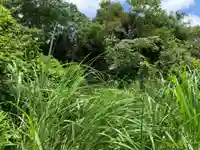 大山祇神社の自然