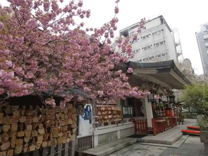 露天神社(お初天神)の自然