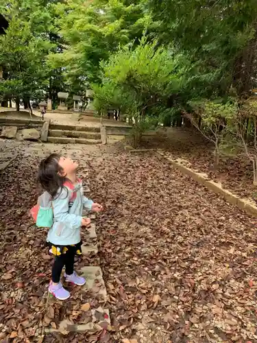 滑川神社 - 仕事と子どもの守り神の体験その他