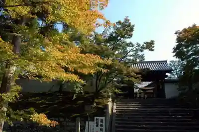 曼殊院門跡のその他建物