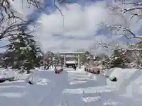 札幌護國神社の鳥居