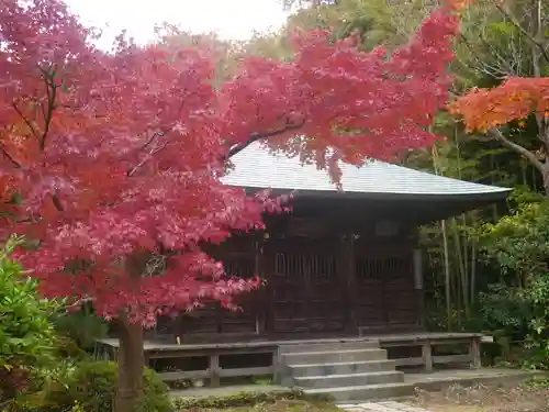浄光明寺の本殿・本堂