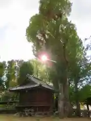 西向天神社の建物その他