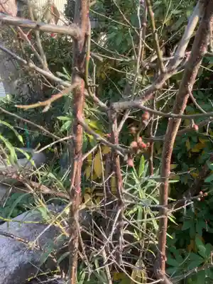 辯天寺(愛知県)