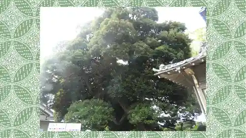 九重神社(埼玉県)