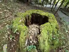 丹生川上神社（中社）(奈良県)