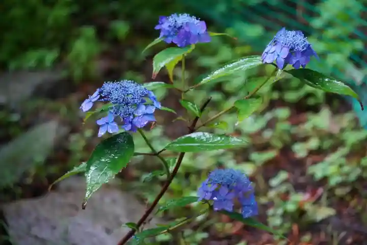 尻岸内八幡神社の景色