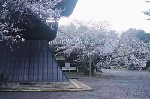 浄土寺のその他建物