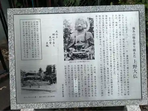 上野大佛(東京都)