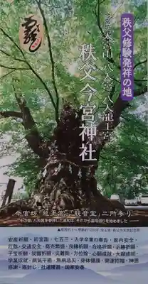 秩父今宮神社(埼玉県)