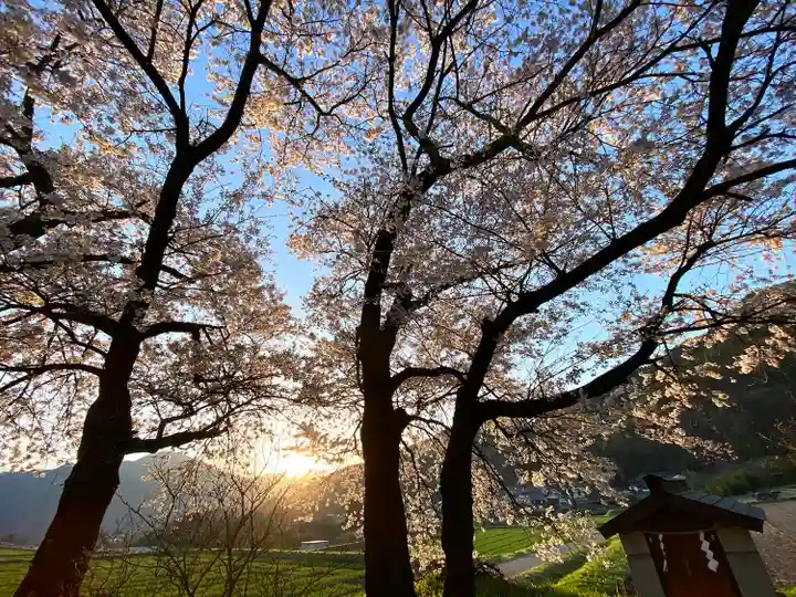 天神宮(伝河原氏屋敷跡)の自然