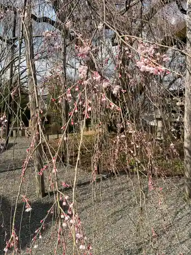 大石神社の自然