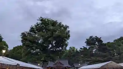 北海道護國神社のお祭り